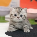 남구-045 이미지