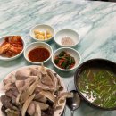 대포칼제비 이미지