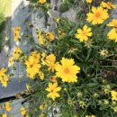 죽림낚시터 이미지