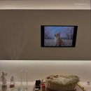 전남반려동물장례식장푸른솔 이미지