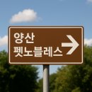 NOBLESSE.PET 네이버블로그