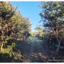 농원농산 이미지