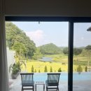 스테이 오힐 이미지