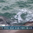잡어대장낚시이야기