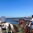 푸른신창 | 제주 신창풍차해안행복승마 아이들과 승마체험 후기