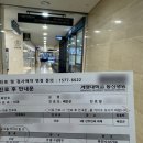 계명대학교 | 임신12주차) 계명대학교 동산병원 산부인과 배진곤 교수님 초진 후기