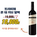 피노이마트 이미지