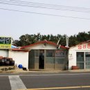 제주의 맛집(서귀포권) 1: 김치찌개- 명리동 식당(서귀포 서쪽) & 뿅뿅뿅 식당(서귀포 시내) 이미지