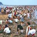 무창포해수욕장 [충남 보령시 웅천읍 ] 이미지