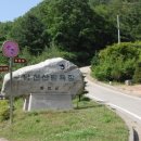 낭천산림욕장 Daum카페