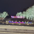 힐작은도서관 | 그랜드 워커힐 서울 더글라스 하우스 숙박 후기 (라운지, 수영장)