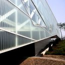 서울대학교 이미지