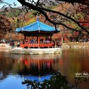 한길공원 이미지