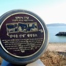 섬마을집펜션민박 이미지