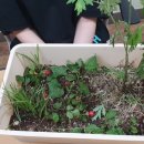 소선여자중학교 이미지