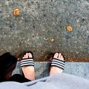 아담장여관 이미지