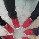 프라미스슈올즈