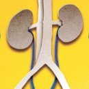 중장년 건강 관리 운동법 이미지