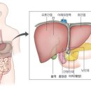 엔와이 모터스 이미지