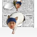 노벨라사 이미지