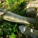 산모퉁이2 이미지