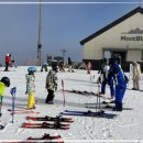 에이스의류 이미지