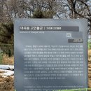 대곡동지석묘군 이미지