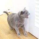 루시호텔 이미지