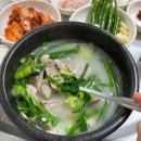 고령돼지국밥 이미지