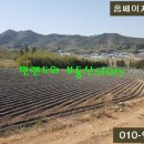 전남 보성군, 곤충사 태양광 100kw 매매 2억6500만원 이미지