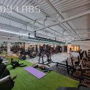 BODY LABS 네이버블로그