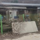 사체농장 이미지