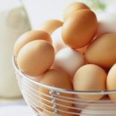 썬바이오의료기 이미지