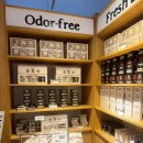 파스텔일러스트A | 성수 팝업 추천! WHIFF 11월 한정 무드박스부터 파인 오일까지 감성 가득한 전시·향·공간 후기