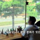 더렙타일파충류샵 - 서구 화정로179번길 60 | 더렙타일파충류샵