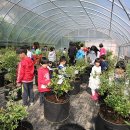 노동초교 이미지