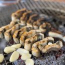 순천만 한우 농장 이미지