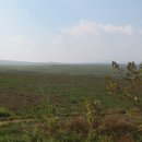 동양이용소 이미지