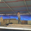 건호농장 이미지