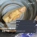정산약품(주) | 연차 낸 직장인의 광기의 하루(2024쿠에른 바자 첫날 후기와 팁)