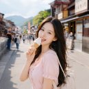 하나멤버쉽투어 | 오사카 교토 1일 버스투어 후기 총정리｜아라시야마 금각사 청수사 후시미이나리 코스 비교