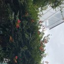 화은약국 이미지