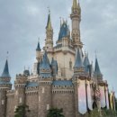 레일로드 주식회사 이미지