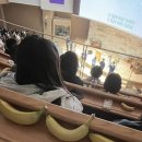 금철농장 이미지