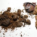 사향(현대연구) 이미지