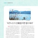 2021-주168 이미지