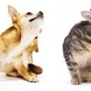 반여착한동물병원 이미지