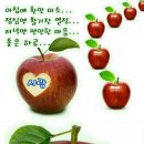 새삼목장 이미지