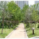 대성예술계획 이미지