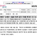 파노라마기획